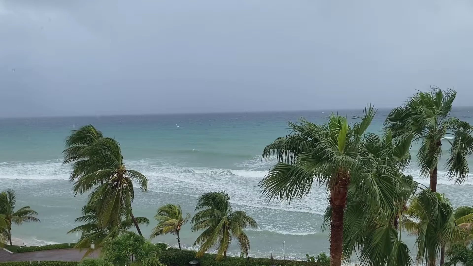 Load video: A 5-Minute guided breathing exercise to support relaxation, stress management, and mindfulness.